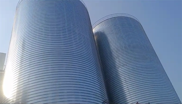 佳县2座混凝土高架卷板仓